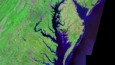 Chesapeake Bay - Chesapeake Bay Program