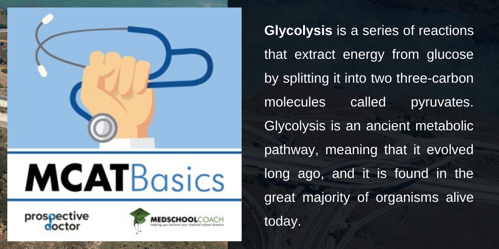 Kreb's Cycle MCAT