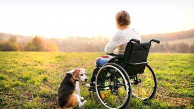 Wheelchair - Stock photography