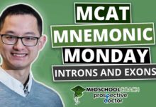MCAT Mnemonic: Introns and Exons