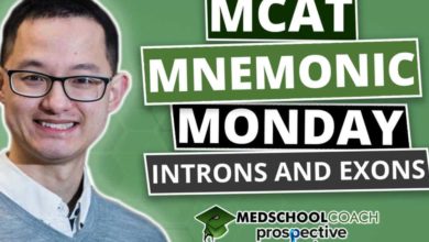 MCAT Mnemonic: Introns and Exons