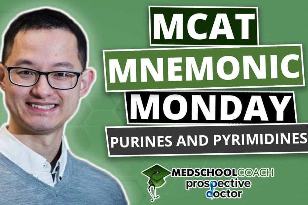 Mcat Mnemonics Purines And Pyrimidines Prospective Doctor