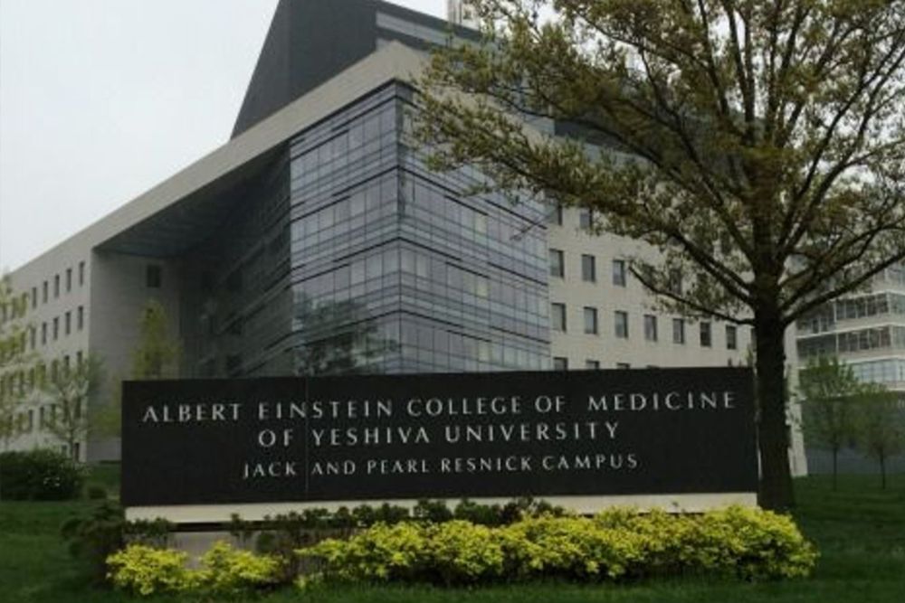 The Best MCAT Tutors for Albert Einstein College of Medicine of Yeshiva ...