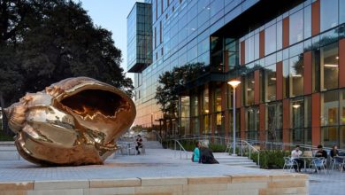 University of Texas at Austin (Dell Medical School) (Austin, TX)