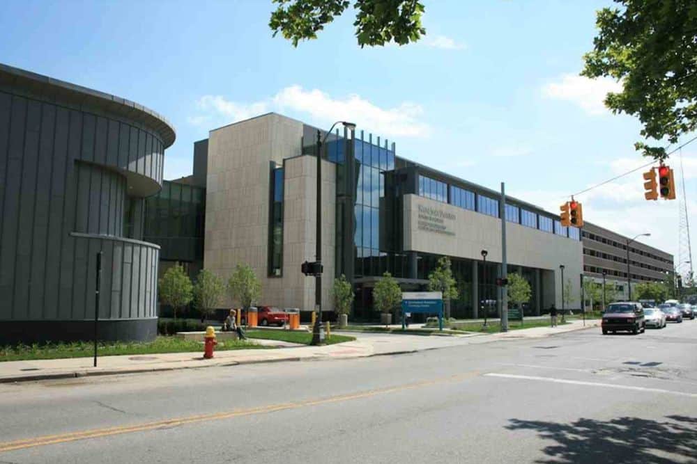 Wayne State Pre Med Acceptance Rate
