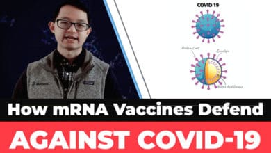 How mRNA Vaccine Defends Against Covid-19